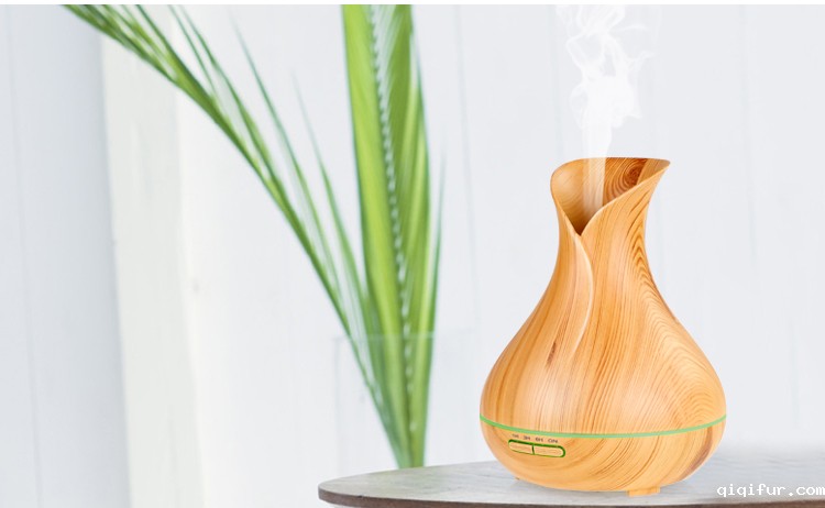 多功能加湿器