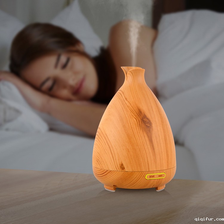 电机加湿器