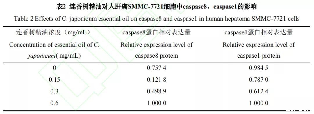 精油提炼设备